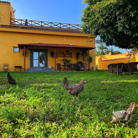 Tenerife * Такоронте