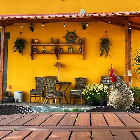 Tenerife * 타코론테