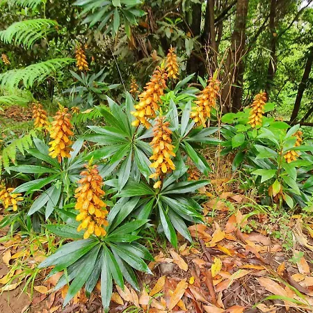 Вилла Tenerife *