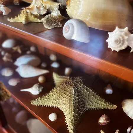 Tenerife 빌라 타코론테