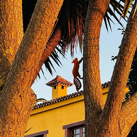 Fort Tenerife Gran Casa De Campo * Tacoronte