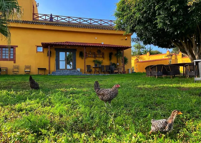 Tenerife * 타코론테