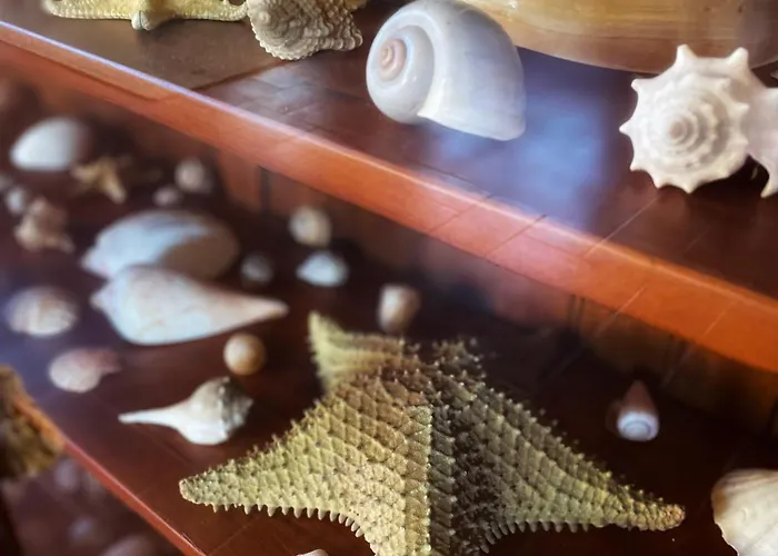 Tenerife Villa Tacoronte