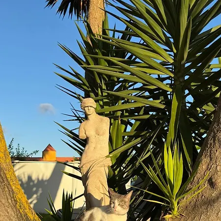 Fort Tenerife Gran Casa De Campo *
